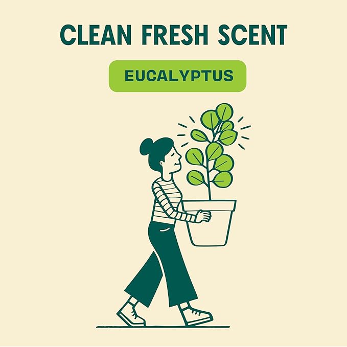 Aunt Fannie's Ultra Concentrated Floor Cleaner Vinegar Wash, Multi-Surface Solution For Mopping, Makes 16 Gallons, Eucalyptus Scent, 32 oz. (Pack of 6)