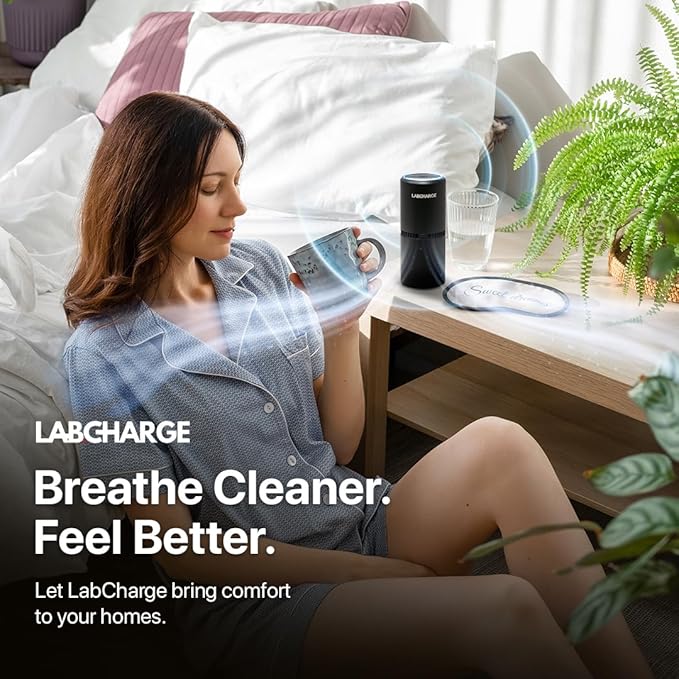 Lab Charge Small Ionic Air Purifier for Home & Bedroom – Silent HEPA Filter – Covers 250 Sq Ft - Free Cleaner for Pets, Hair, Smoke, Dust, Odors & Dander – Compact & Black Design - Pack of 4