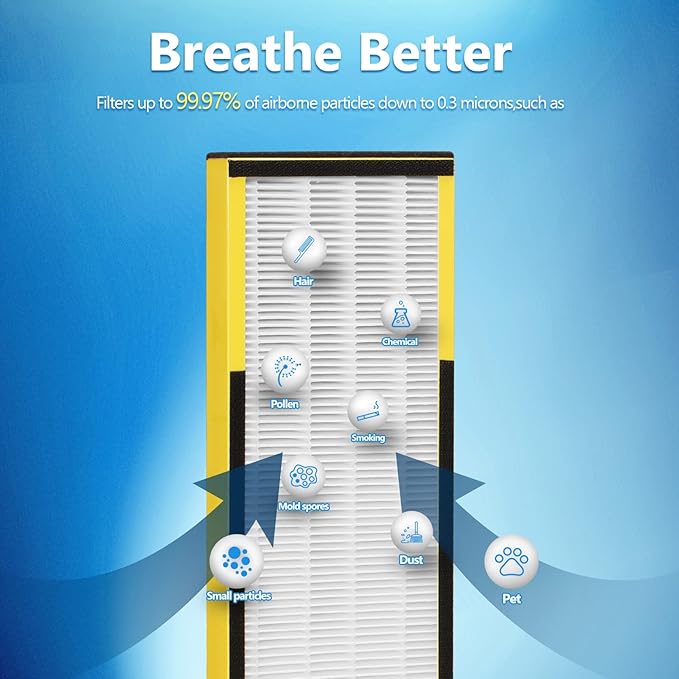 6 Packs FLT4825 H13 True HEPA Replacement Filter B Compatible with AC4300BPTCA, CDAP4500BCA, AC4825, AC4850PT, AC4820, AP2200CA Air Cleaner Purifier