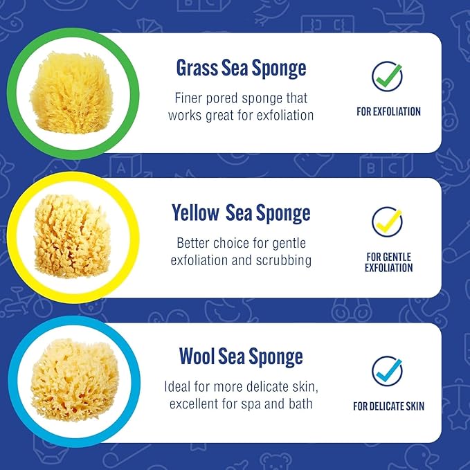 Baby Buddy Baby Bath 4in Assorted Sea Sponges, Absorbent Natural Sea Sponge, Soft on Tender Skin, Biodegradable, Hypoallergenic, Bath Accessories for Bathing, 3 Pack