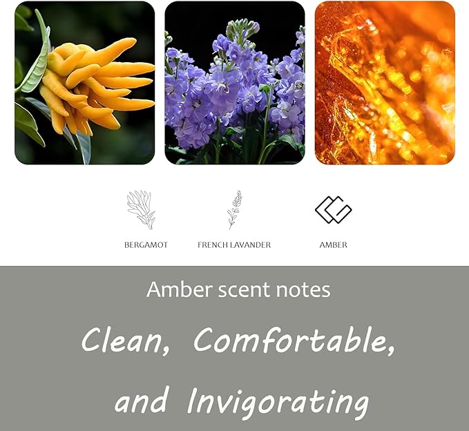 Amber Air Freshener, Stone Scent Starter Kit, Odor Eliminator - Car Visor Clip (Pack of 1 - Amber Scent)