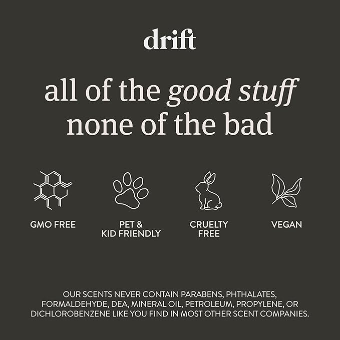 Drift Car Air Freshener - Stone Air Freshener Starter Set - Car Odor Eliminator - Pine Scent